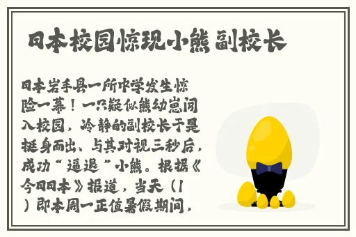 最好看2019高清中文字幕视频